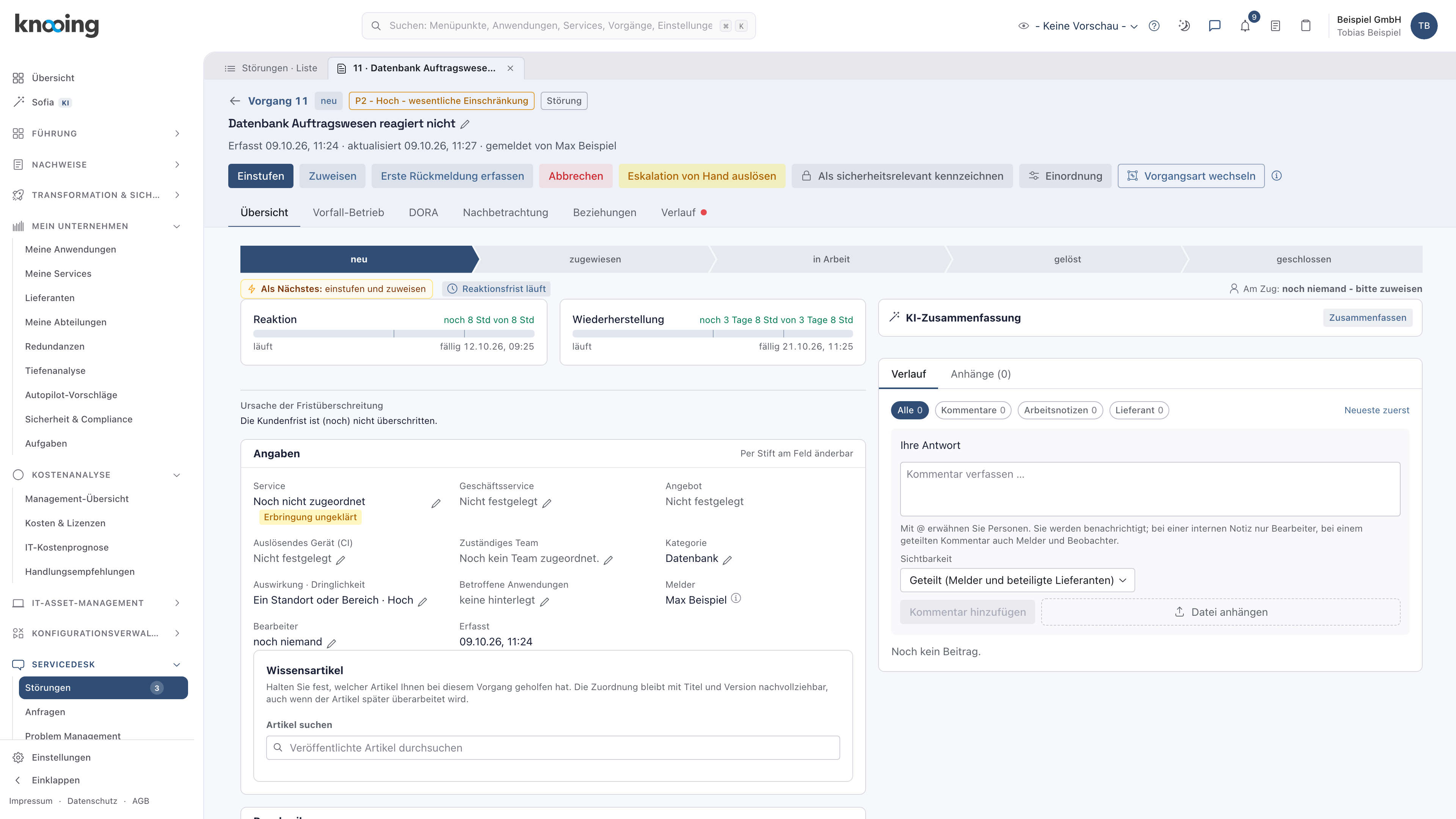 Vorgangsdetail nach dem Übernehmen mit Kategorie Datenbank und Priorität P2