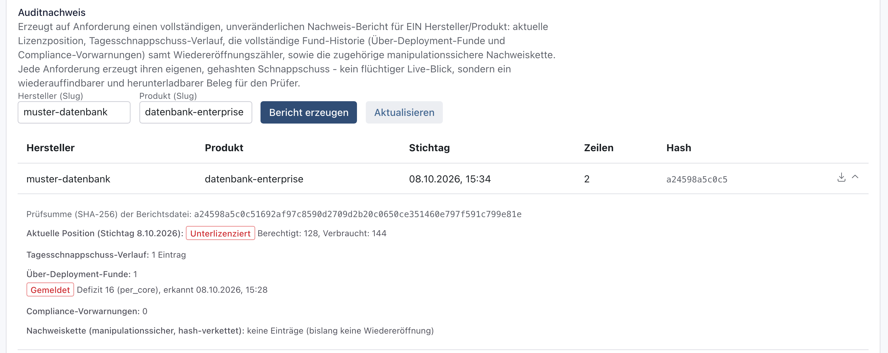 Abschnitt Auditnachweis mit dem erzeugten Bericht zur Datenbank: volle Prüfsumme, Unterlizenziert, 128 berechtigt, 144 verbraucht