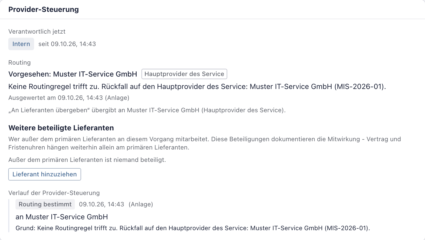 Karte Provider-Steuerung: Verantwortlich jetzt Intern, vorgesehen Muster IT-Service GmbH als Hauptprovider